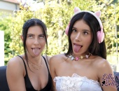 My Favorites - #1 /5 gallery photo