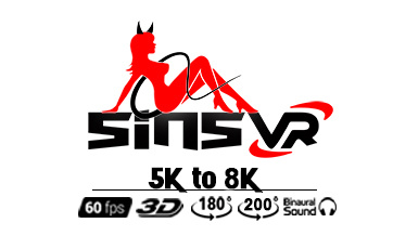 SinsVR photo